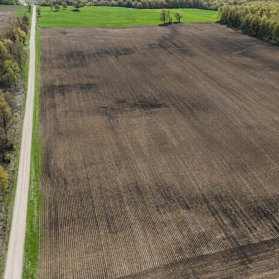 Agricultural farmland in Southwestern Ontario